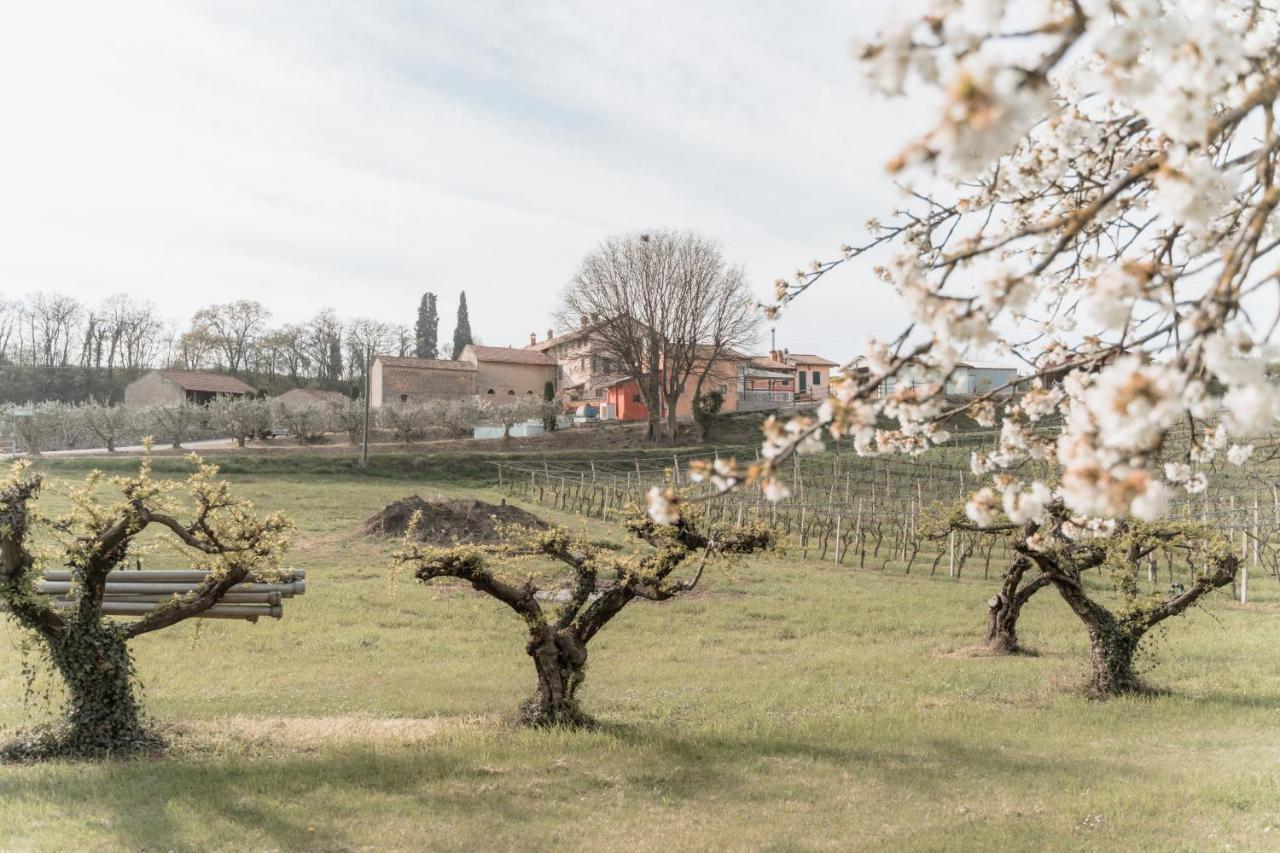 Agriturismo San Francesco Valeggio sul Mincio Exterior foto