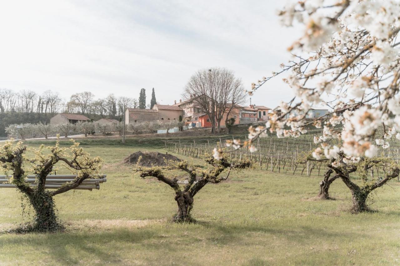 Agriturismo San Francesco Valeggio sul Mincio Exterior foto
